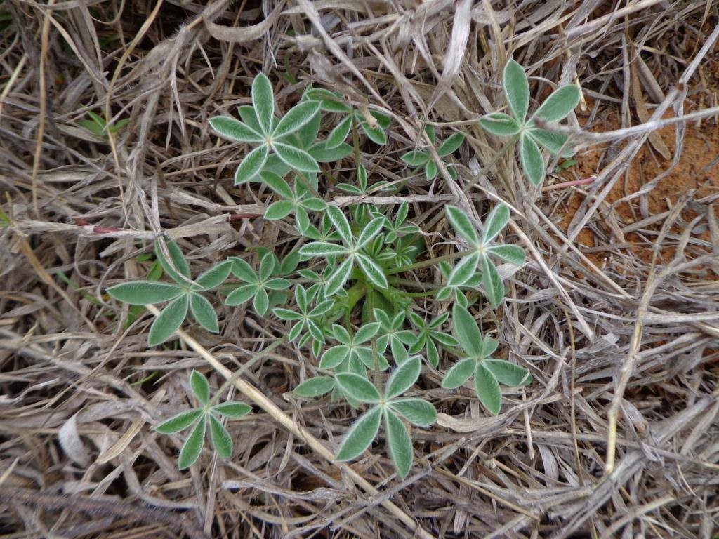 Getting Ready for Top Choice Lawn Care