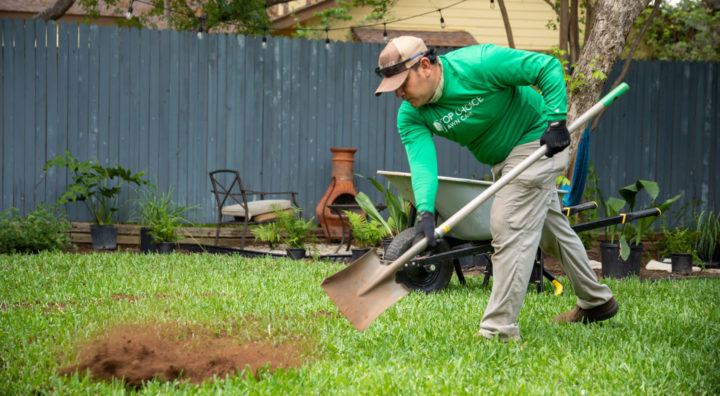 Spreading Top Dressing by Hand