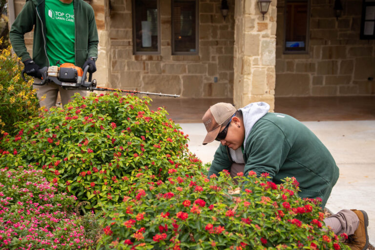 This Week in Landscaping