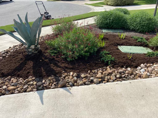 Fall planting in Austin, with mulch, stones, and native plants