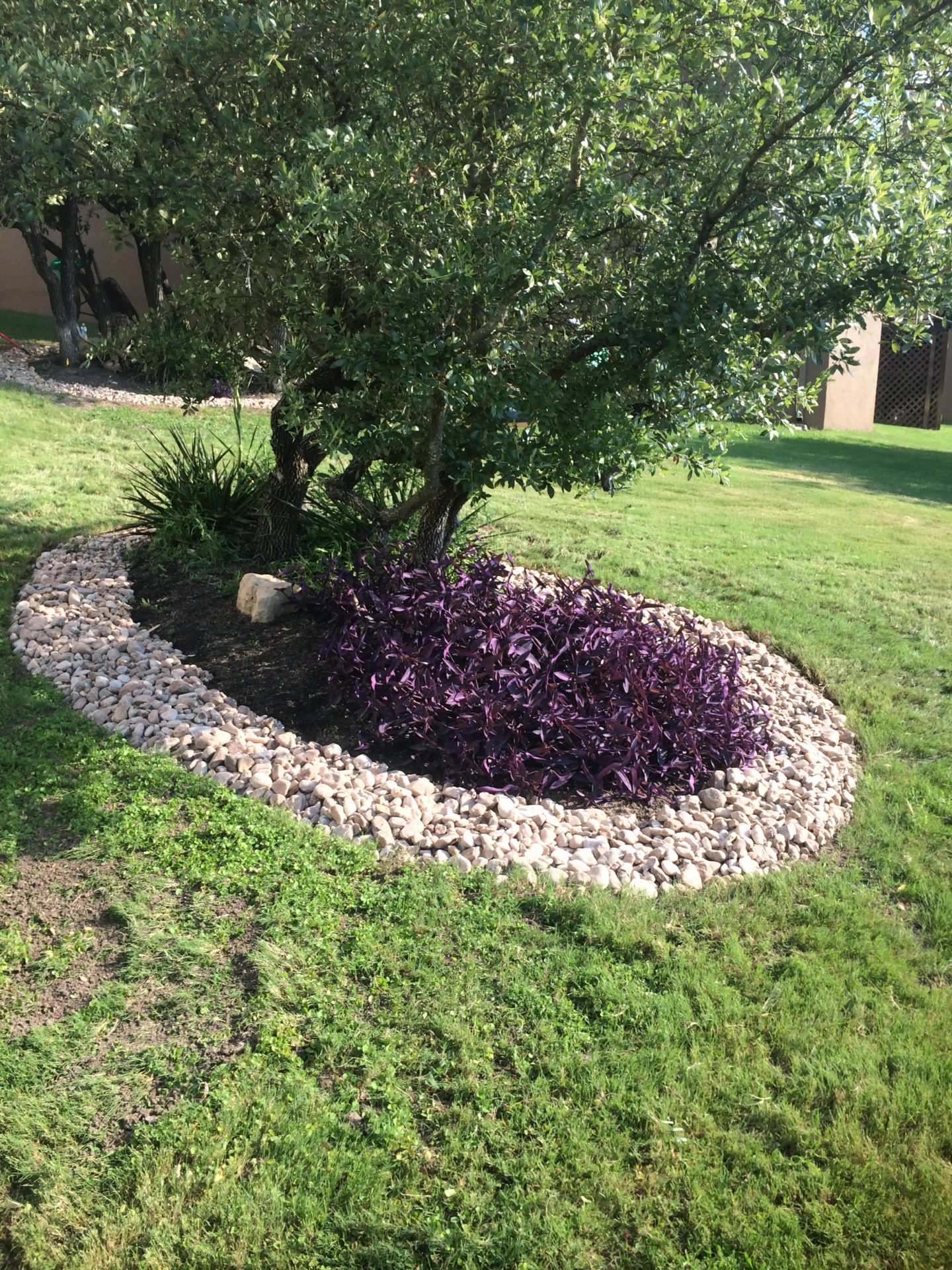 Flower beds with rocks