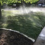 Watering new sod in Austin