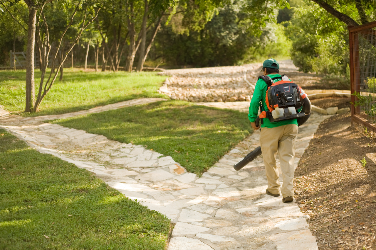 Leaf Clean Up The Best In Austin Top Choice Lawn Care Get A Free Quote