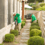 Top Choice Lawn Care landscaping in Austin, Texas