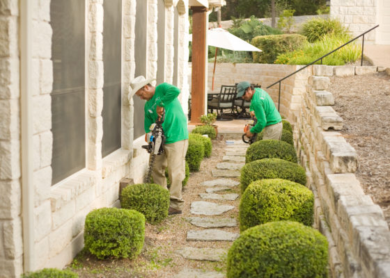 Top Choice Lawn Care landscaping in Austin, Texas