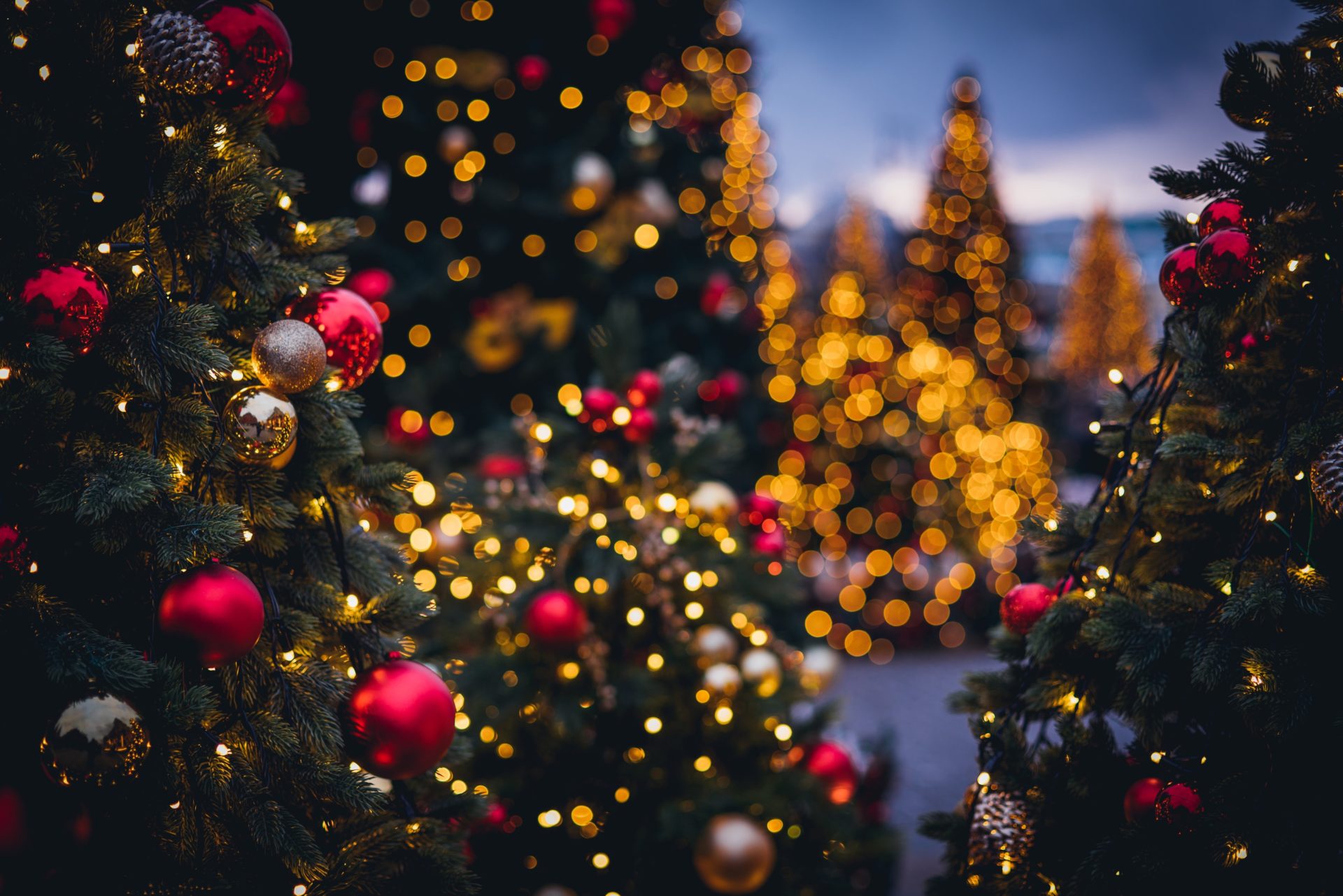 Christmas Tree Delivery Top Choice