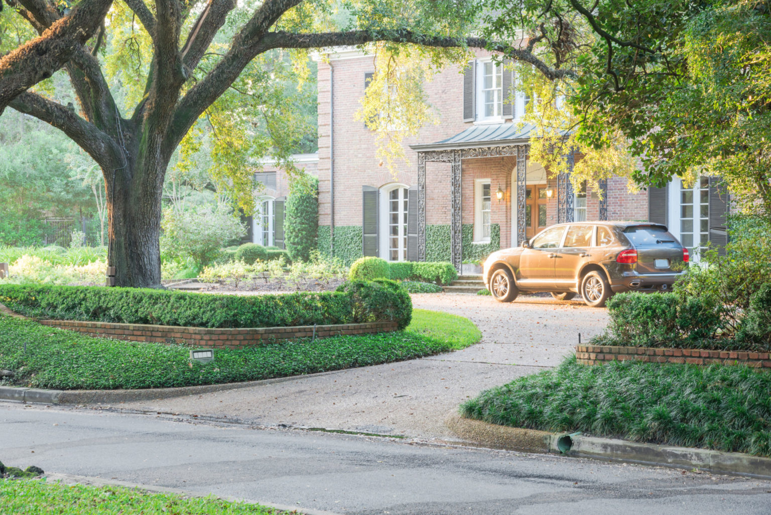 When to trim live oak trees in Austin Top Choice Lawn Care