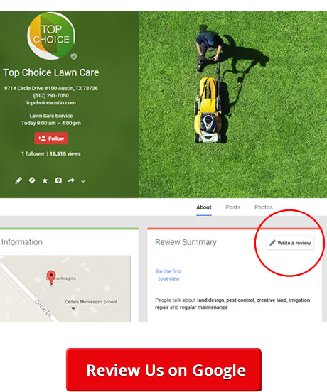 google-review