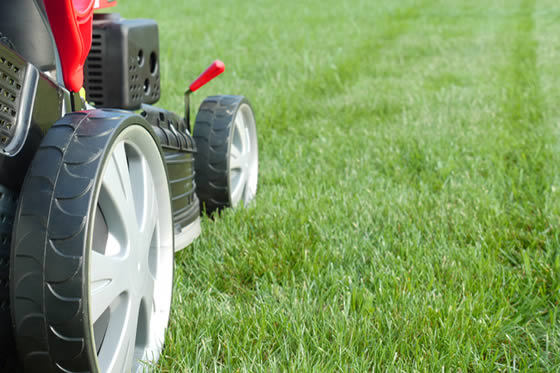 Questions to Ask Before Hiring a Lawn Service in Austin
