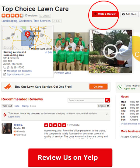 yelp-review